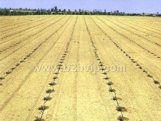 供应喷头&nbsp;滴灌带&nbsp;喷水带,输水软带，喷枪，过滤器，电磁阀等