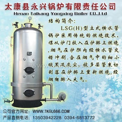立式蒸汽锅炉