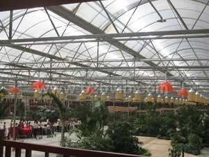 阳光板厂家直供耐力板pe保护膜阳光板供应