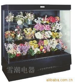 鲜花保鲜柜|上海鲜花柜|鲜花冷柜|鲜花展示柜|上海冷柜|厂家保鲜柜