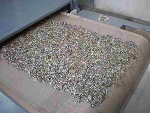 微波瓜子干燥杀菌干燥机