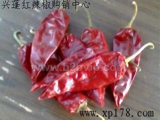 内蒙辣椒干{板椒}