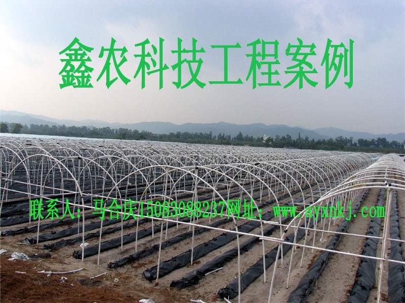 无支柱大棚骨架机