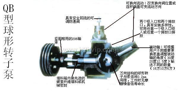 球形转子泵