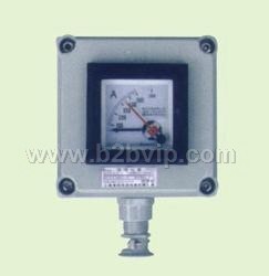 防爆防腐仪表箱