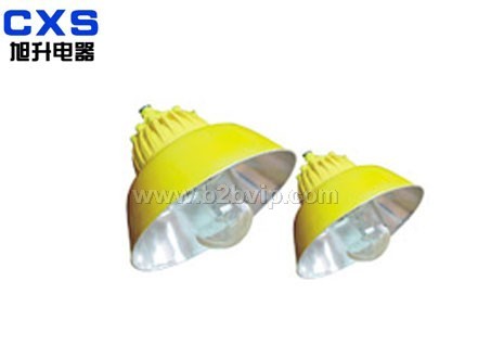 CBLC8600&nbsp;BLW6217&nbsp;BYC6218A防爆平台道路灯