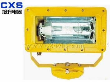 BFC6100&nbsp;C--BFC8100外场防爆强光泛光灯