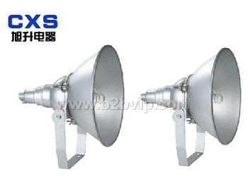 C-NTC9210&nbsp;NTC9200/9200A&nbsp;CNT9150防震型投光灯