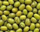 鑫兴采购绿豆红小豆芸豆蚕豆豌豆