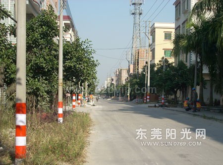 电线杆防撞反光警示贴,警示贴,反光贴,防撞反光警示贴