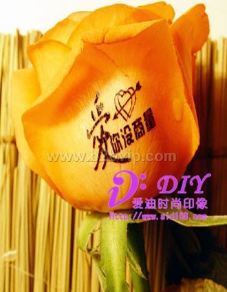 木板印像设备木板印照片木板印图案技术&nbsp;www.aid168.com