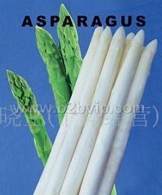 供应芦笋种子弗兰克林