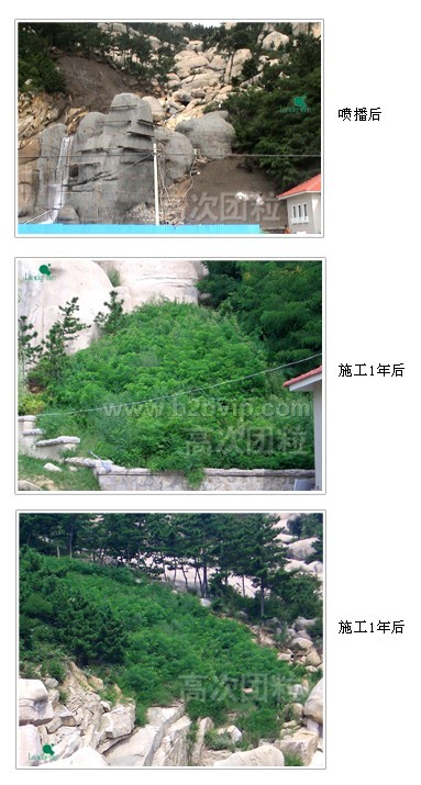 衡水云翔高次团粒技术