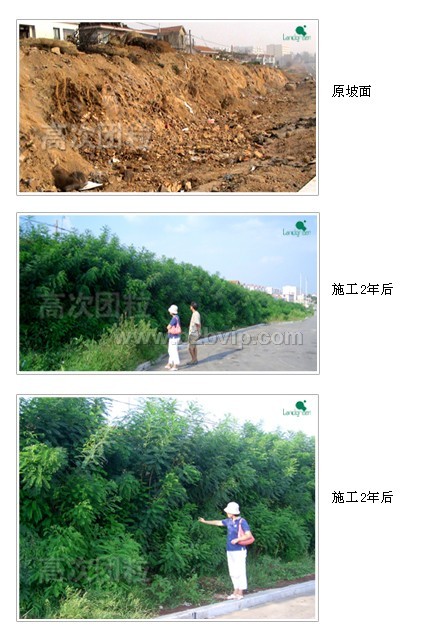 衡水云翔高次团粒技术