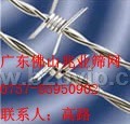 供应广东防盗网,佛山筛网,铁丝网,刺绳