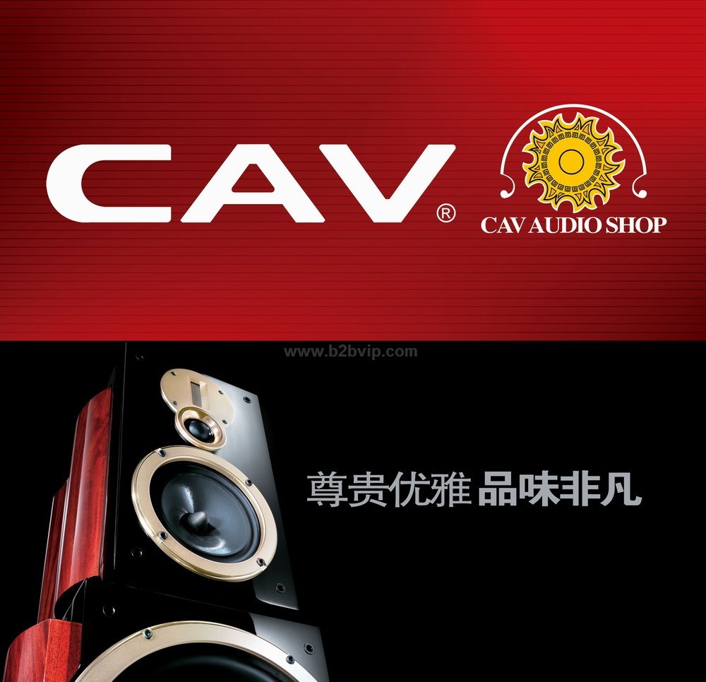 CAV音响，公共广播（会议），舞台音响