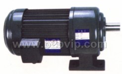 TWT东炜庭卧式齿轮减速电机